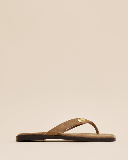 THONG FLAT SANDALS MOCHA SUEDE